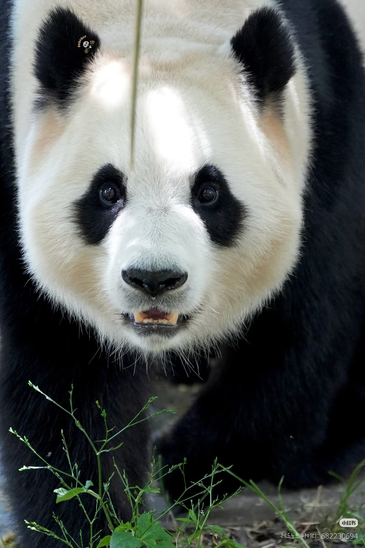 게시글 대표 이미지