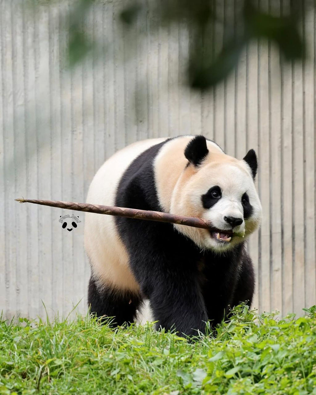 게시글 대표 이미지