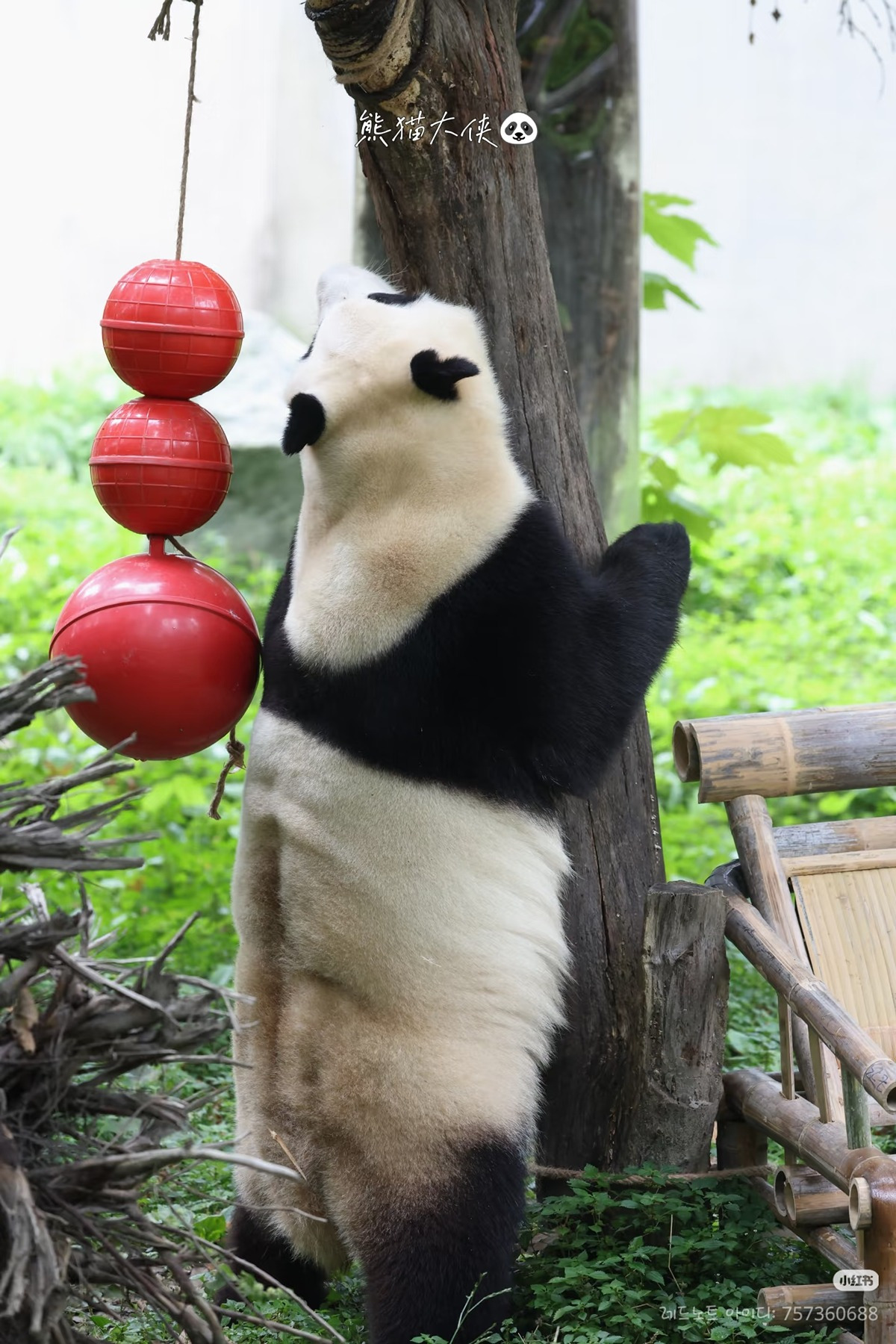 게시글 대표 이미지