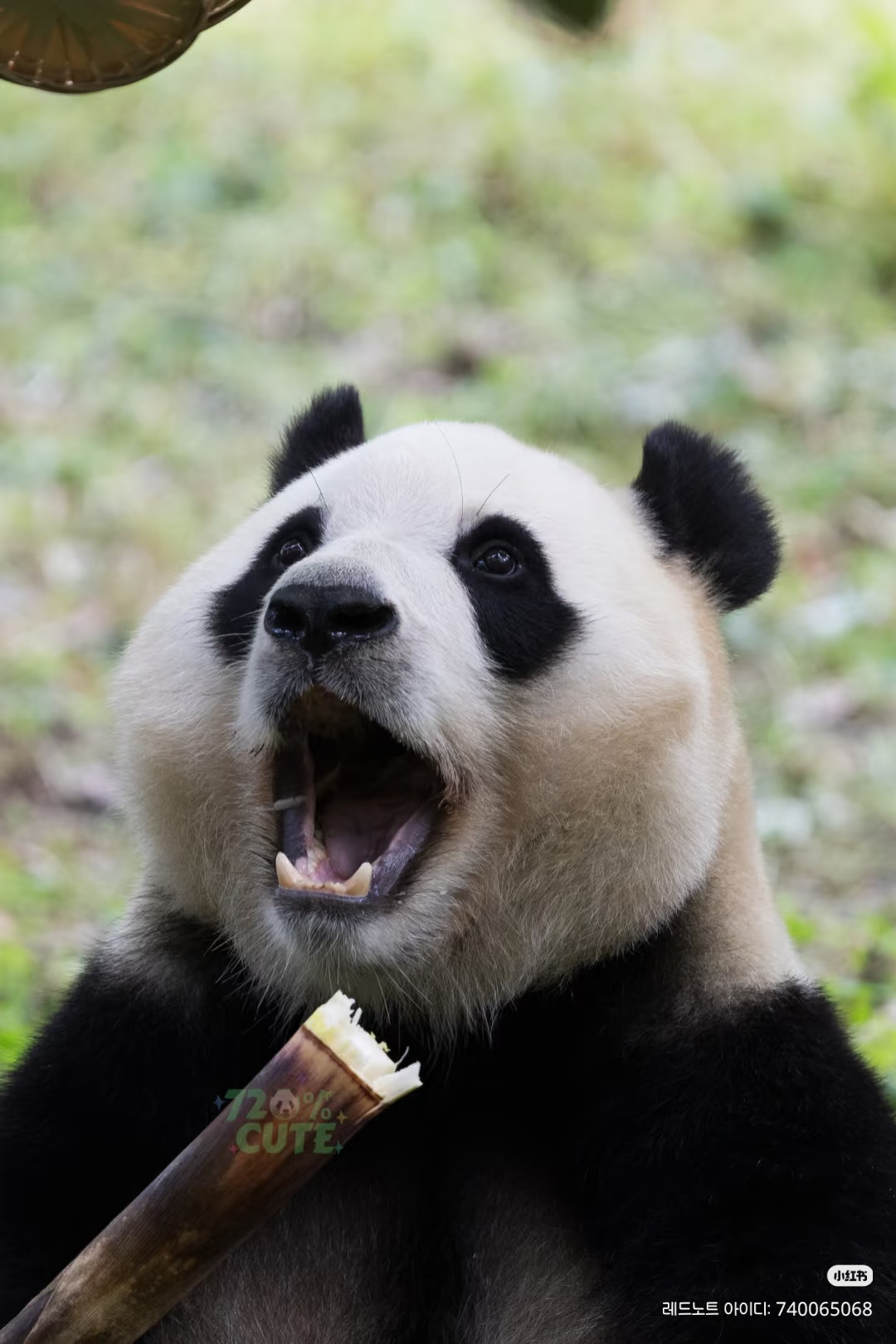 게시글 대표 이미지