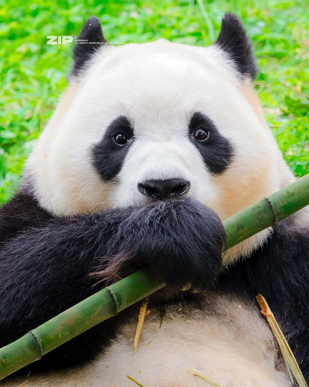 게시글 대표 이미지