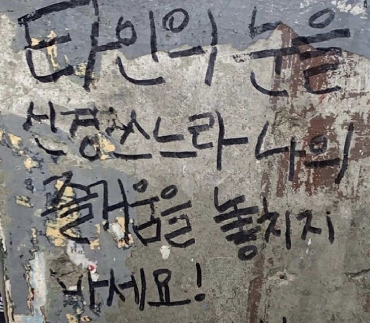 게시글 대표 이미지