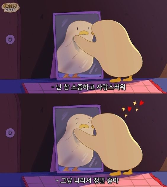 게시글 대표 이미지