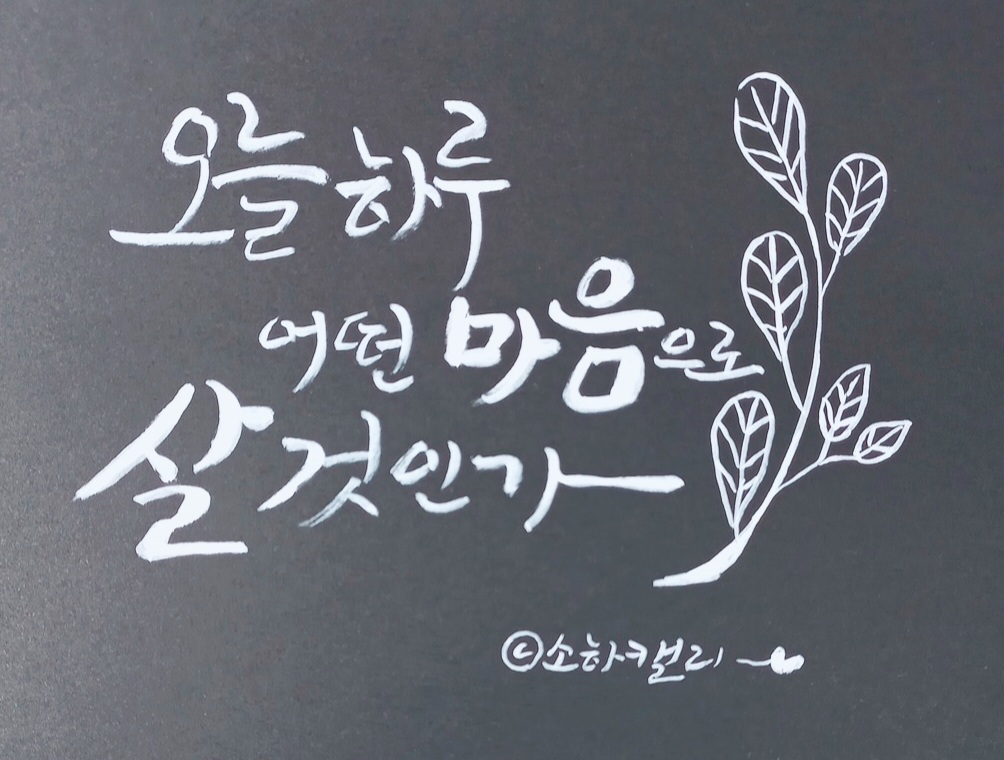 게시글 대표 이미지