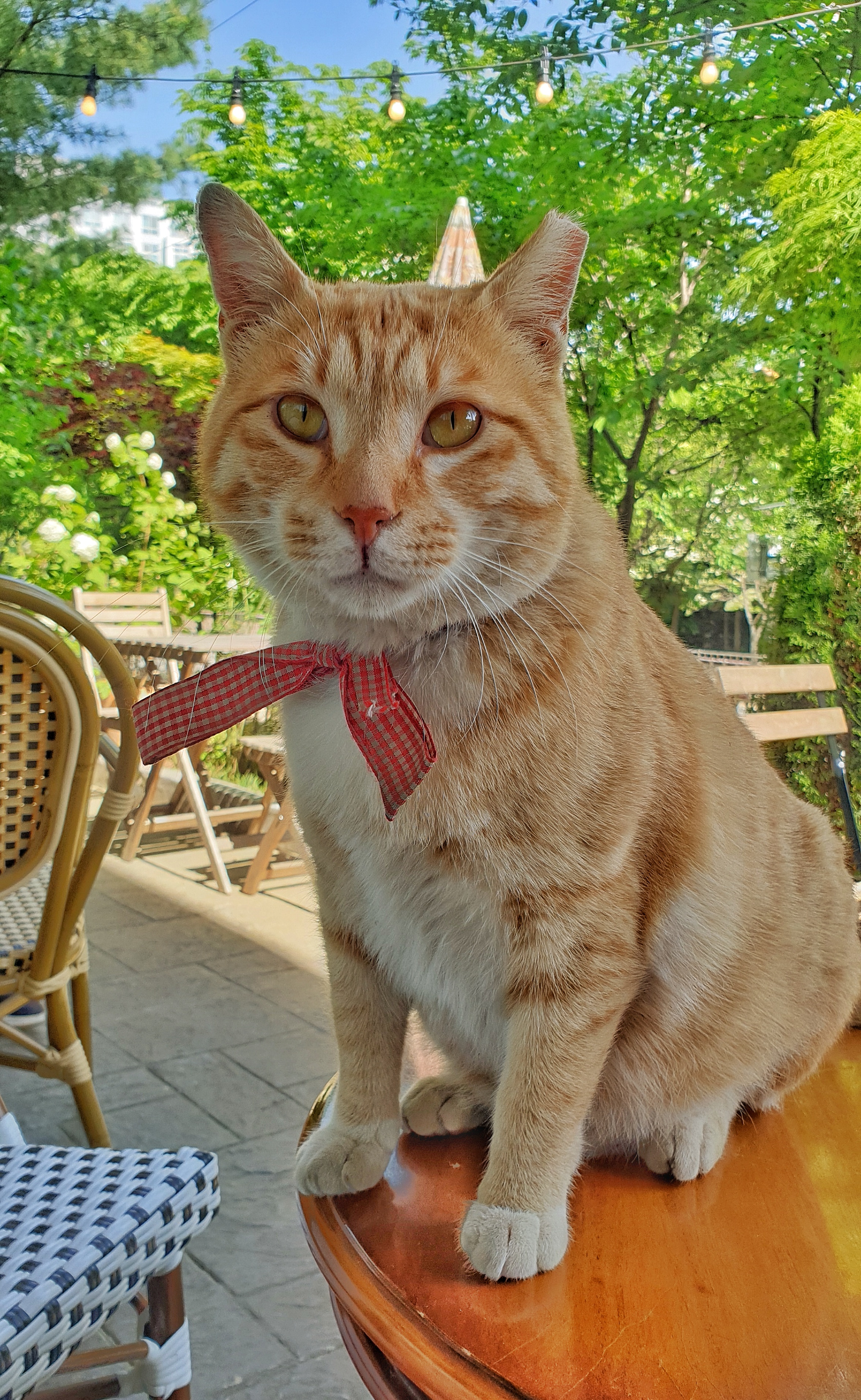 게시글 대표 이미지