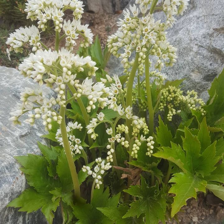 게시글 대표 이미지