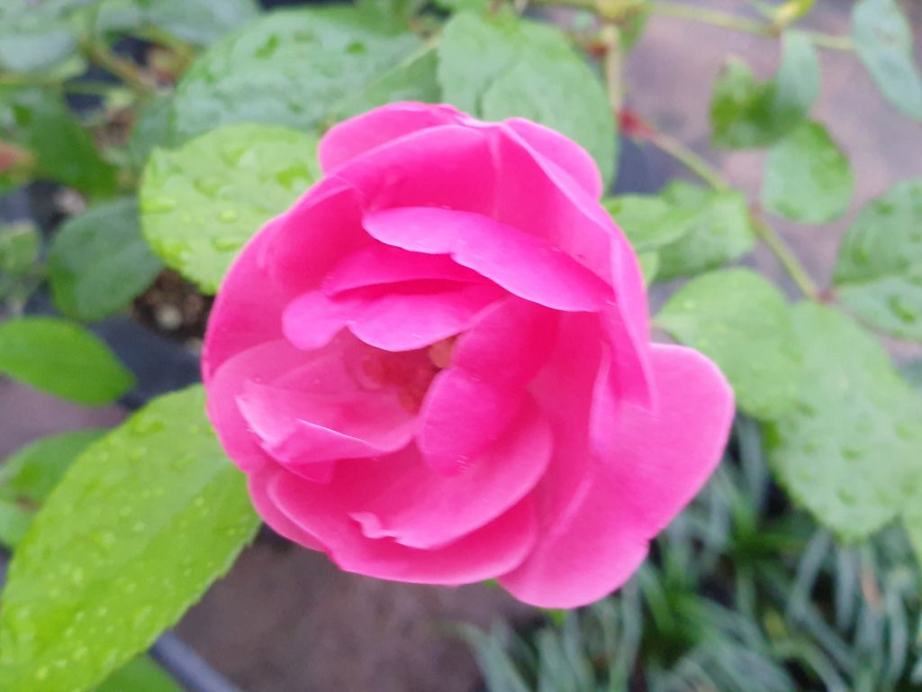 게시글 대표 이미지