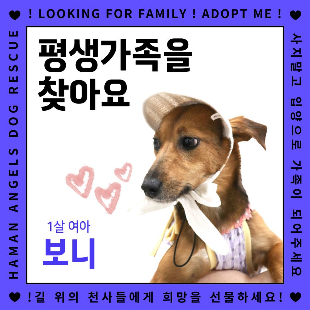 게시글 대표 이미지