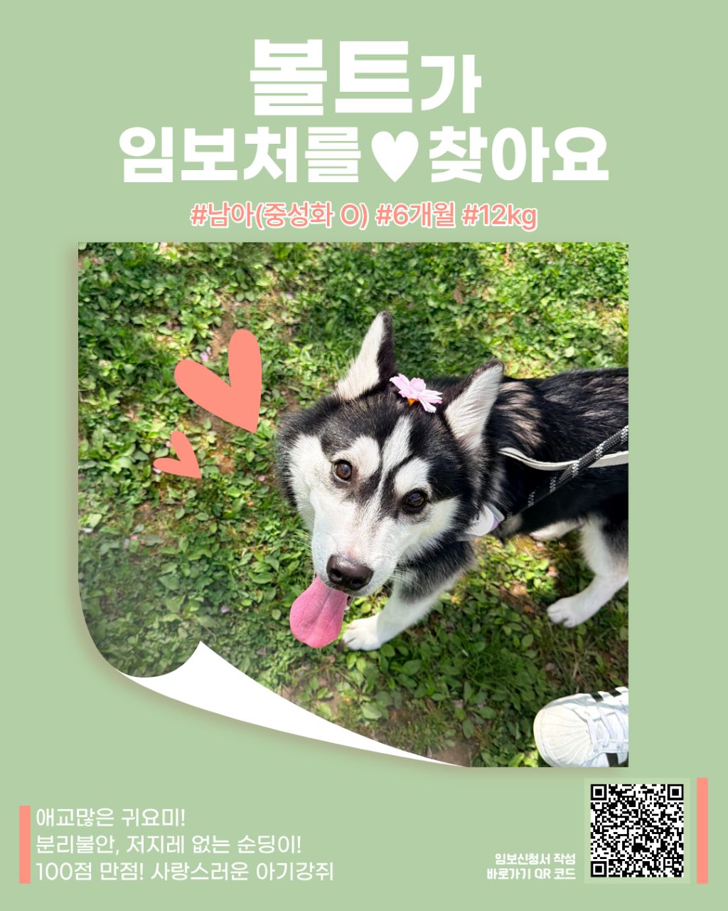 게시글 대표 이미지