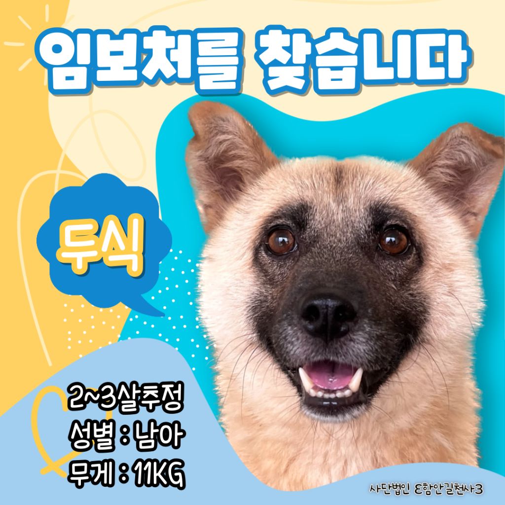 게시글 대표 이미지