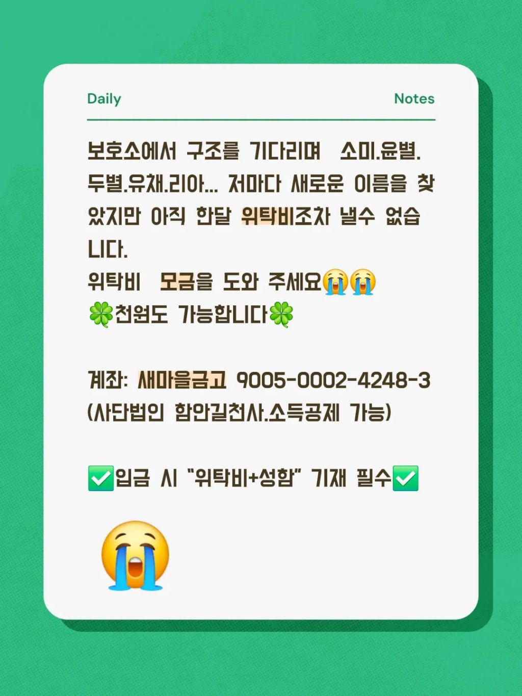 게시글 대표 이미지