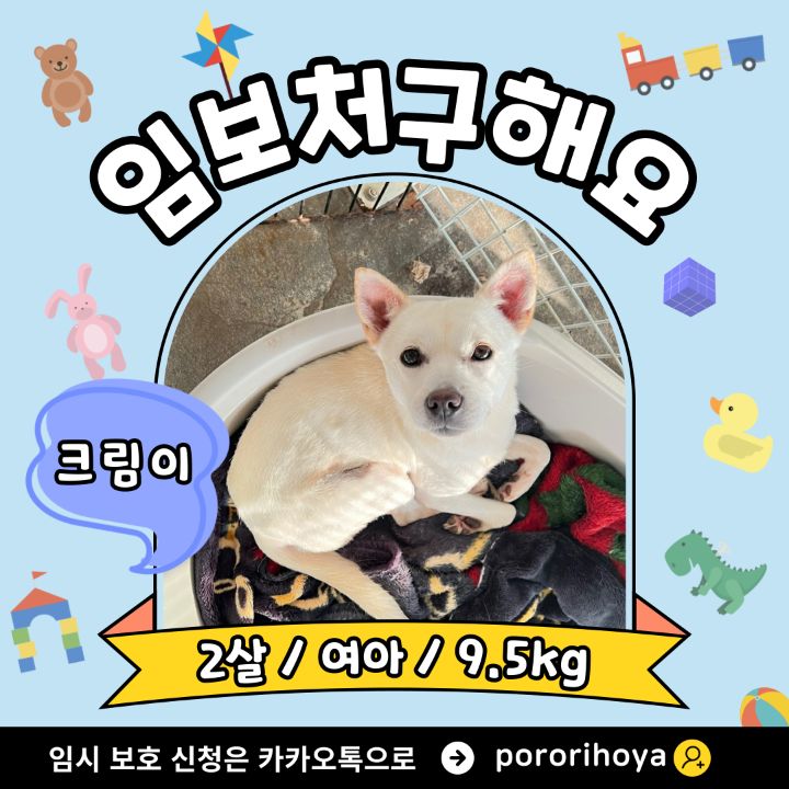 게시글 대표 이미지