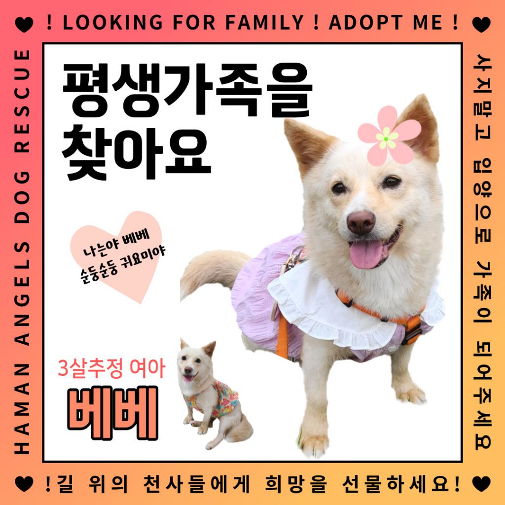 게시글 대표 이미지