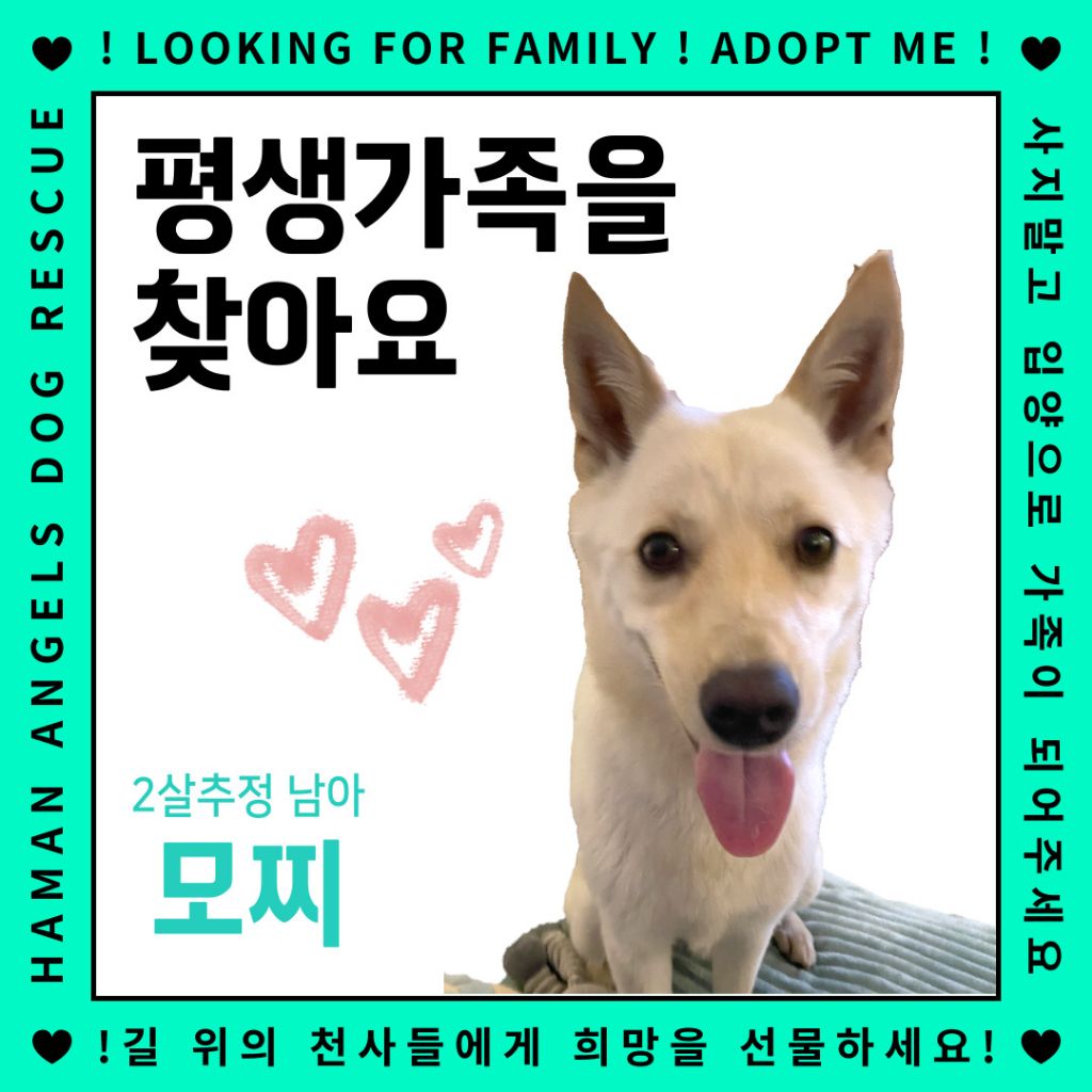 게시글 대표 이미지