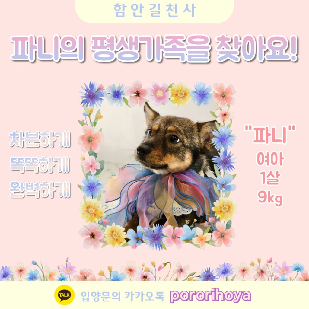 게시글 대표 이미지