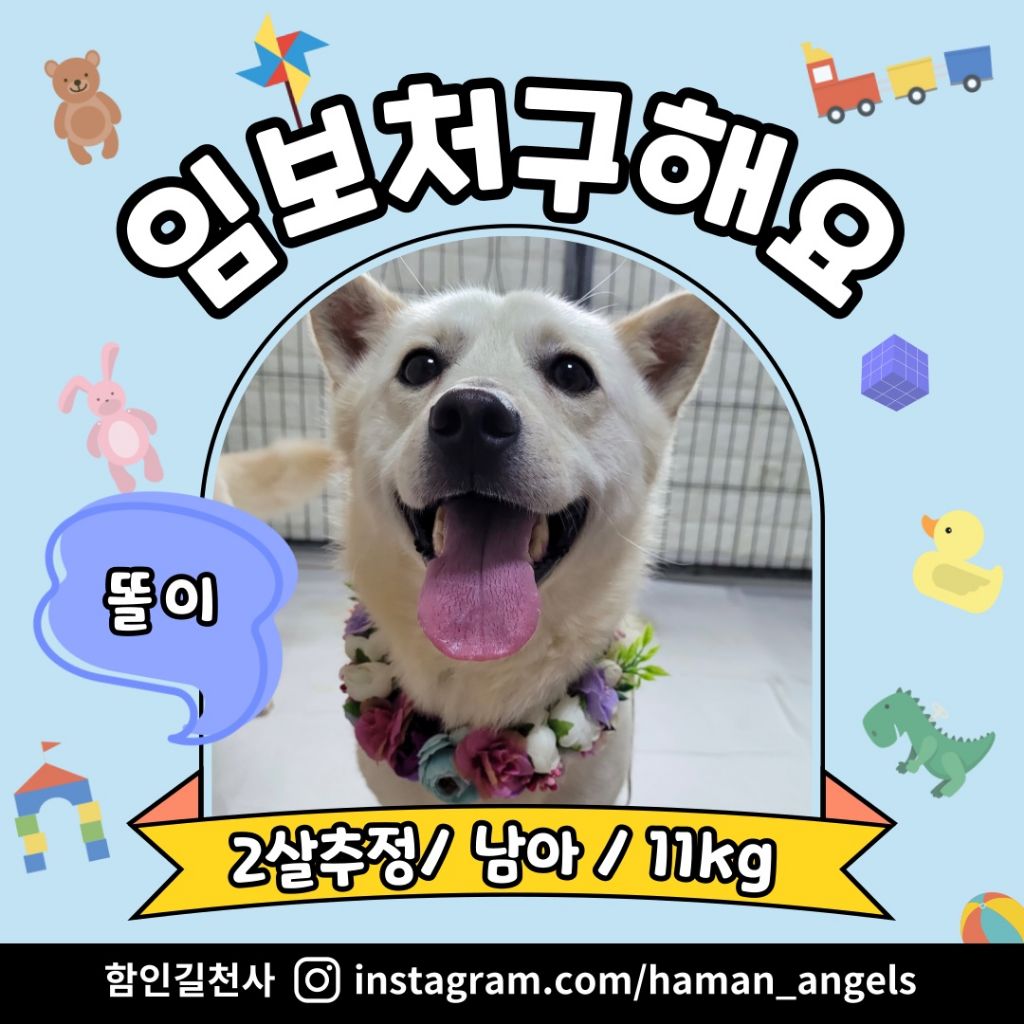 게시글 대표 이미지