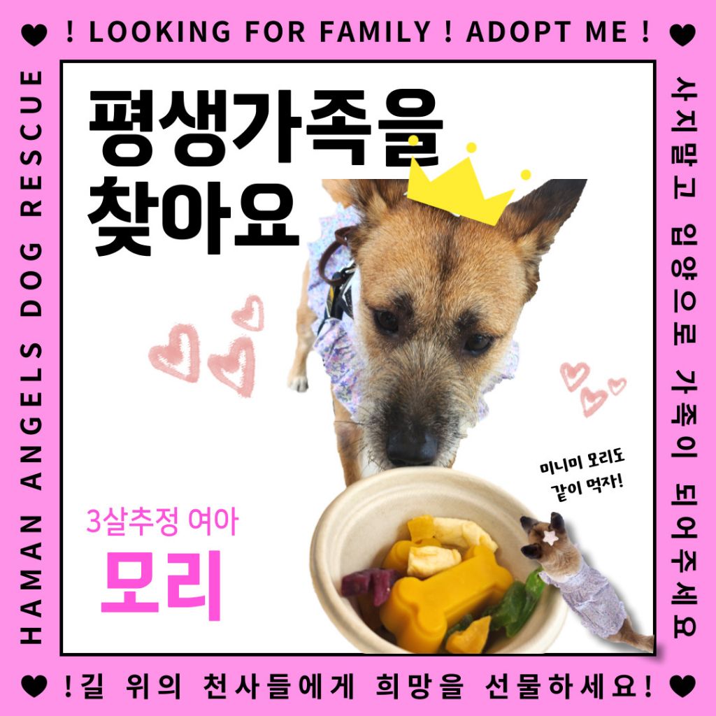 게시글 대표 이미지