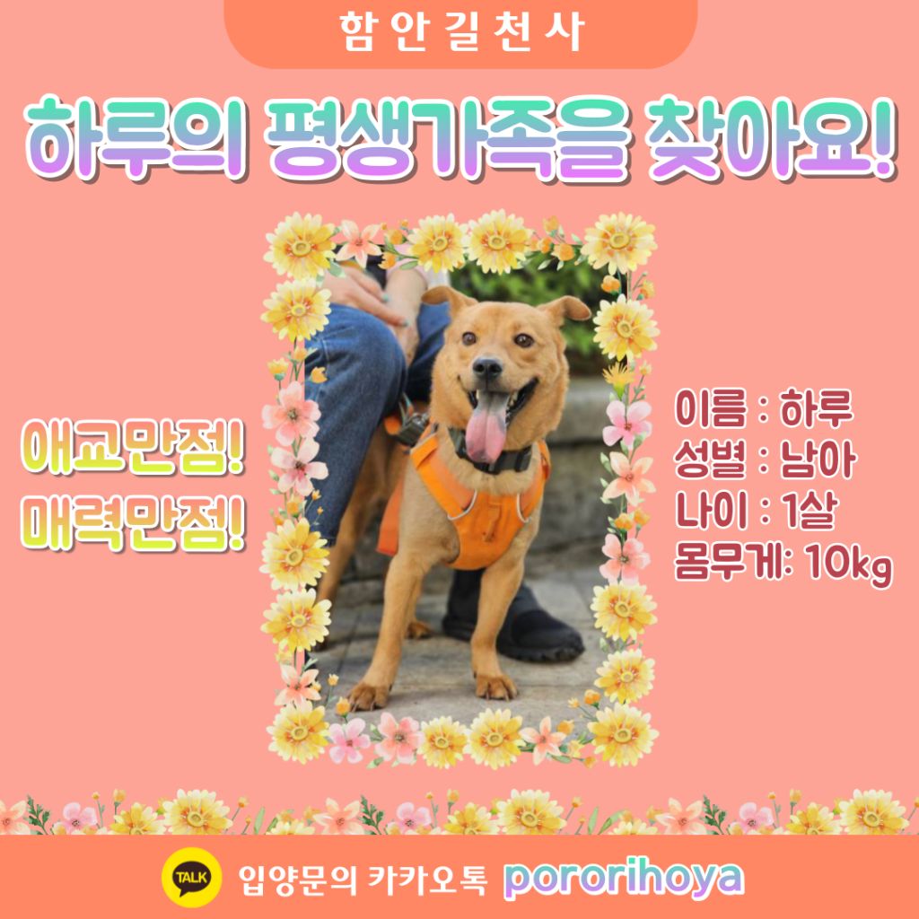 게시글 대표 이미지