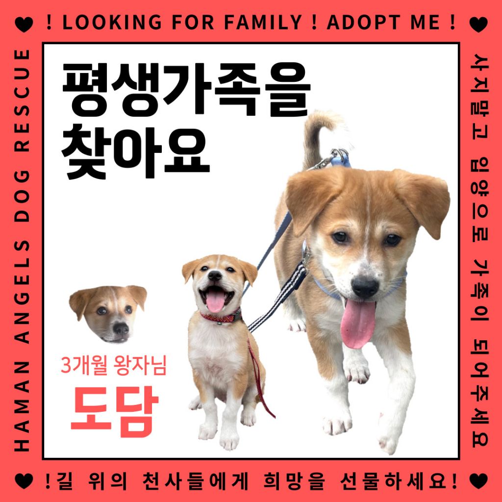 게시글 대표 이미지