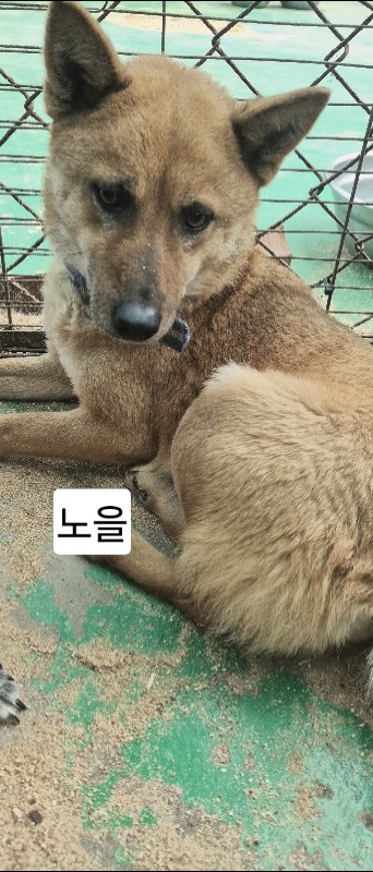 대표이미지