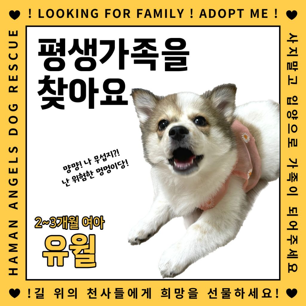 게시글 대표 이미지