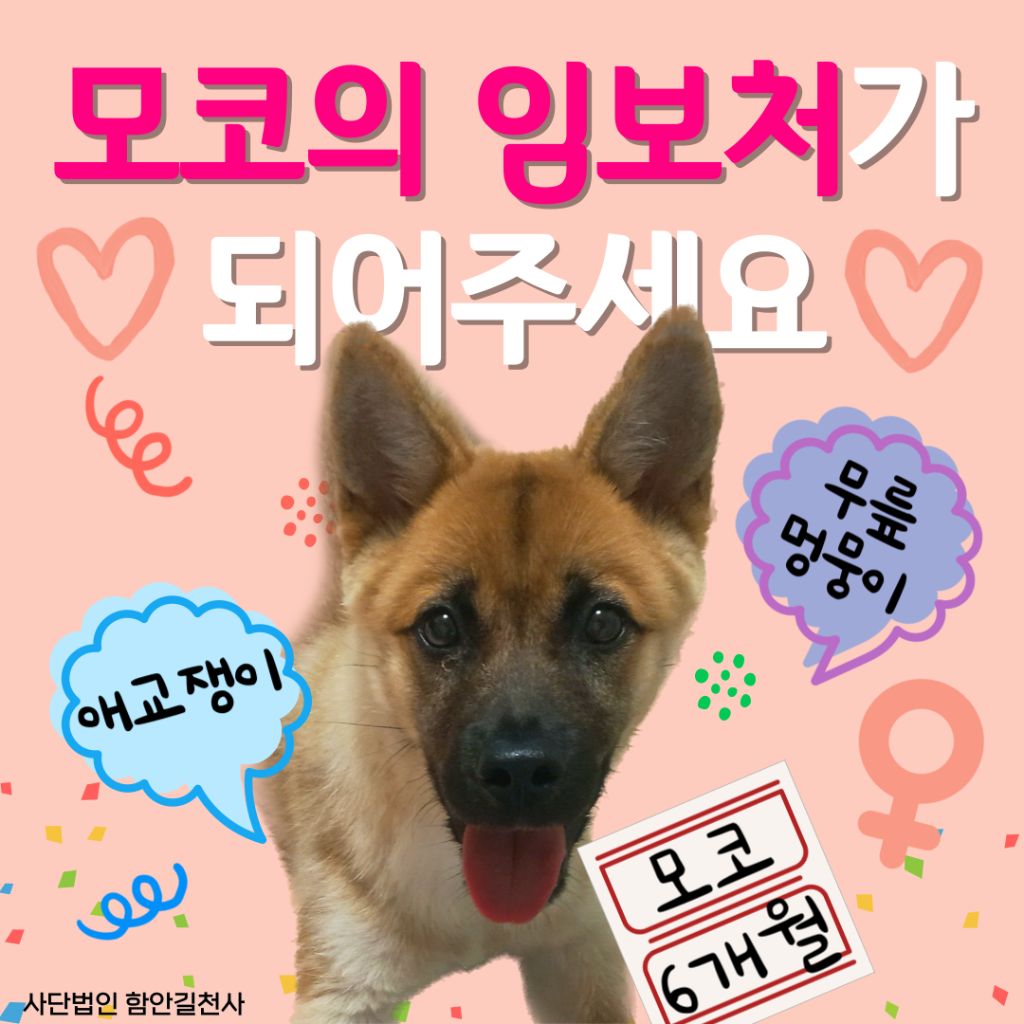 게시글 대표 이미지