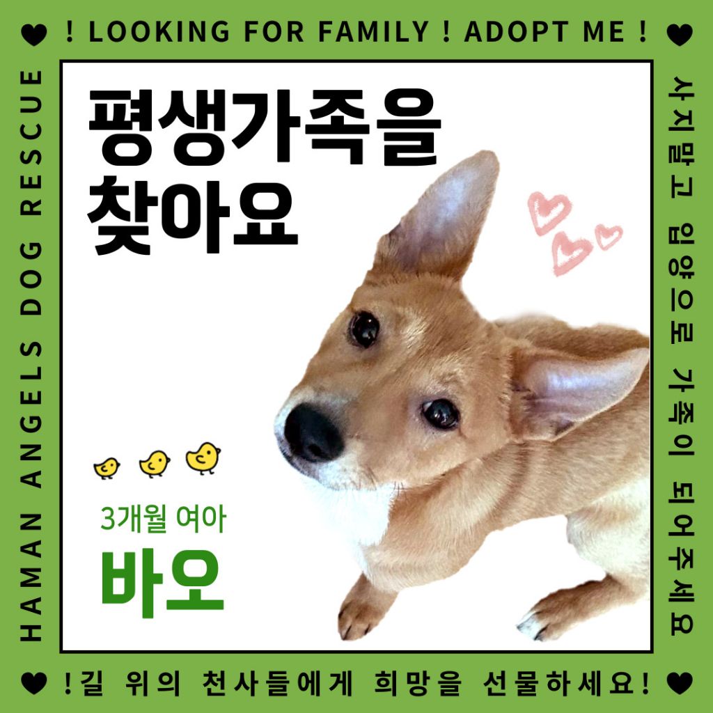 게시글 대표 이미지