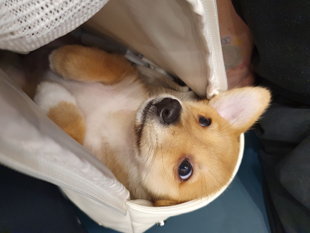 게시글 대표 이미지