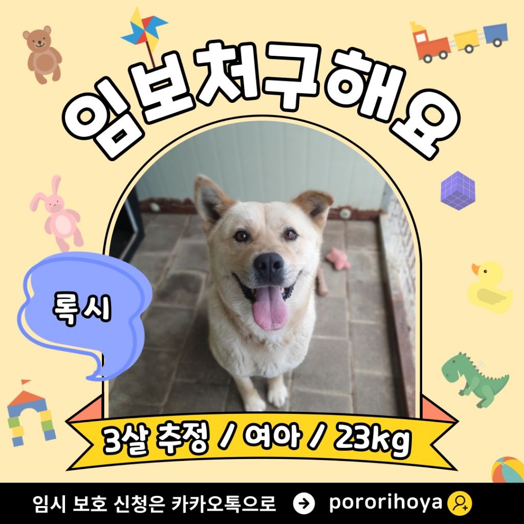 게시글 대표 이미지