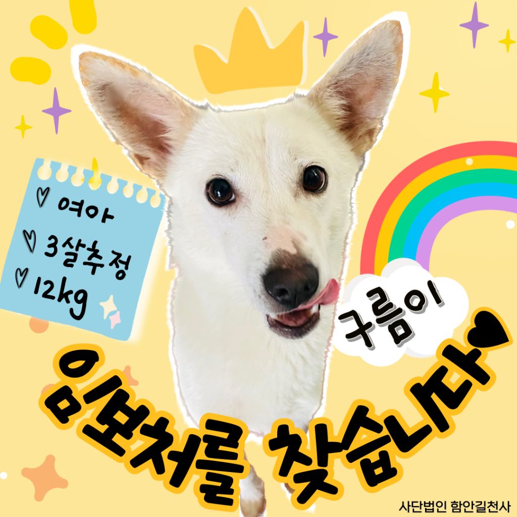 게시글 대표 이미지