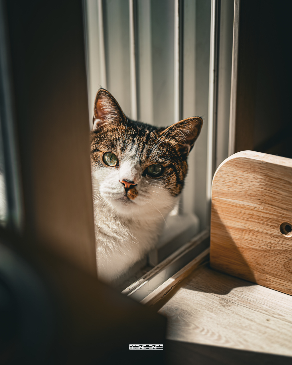 게시글 대표 이미지