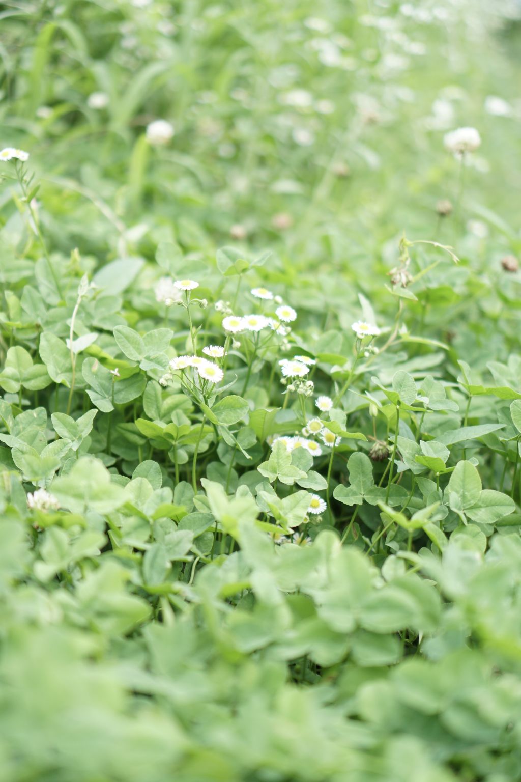 게시글 대표 이미지