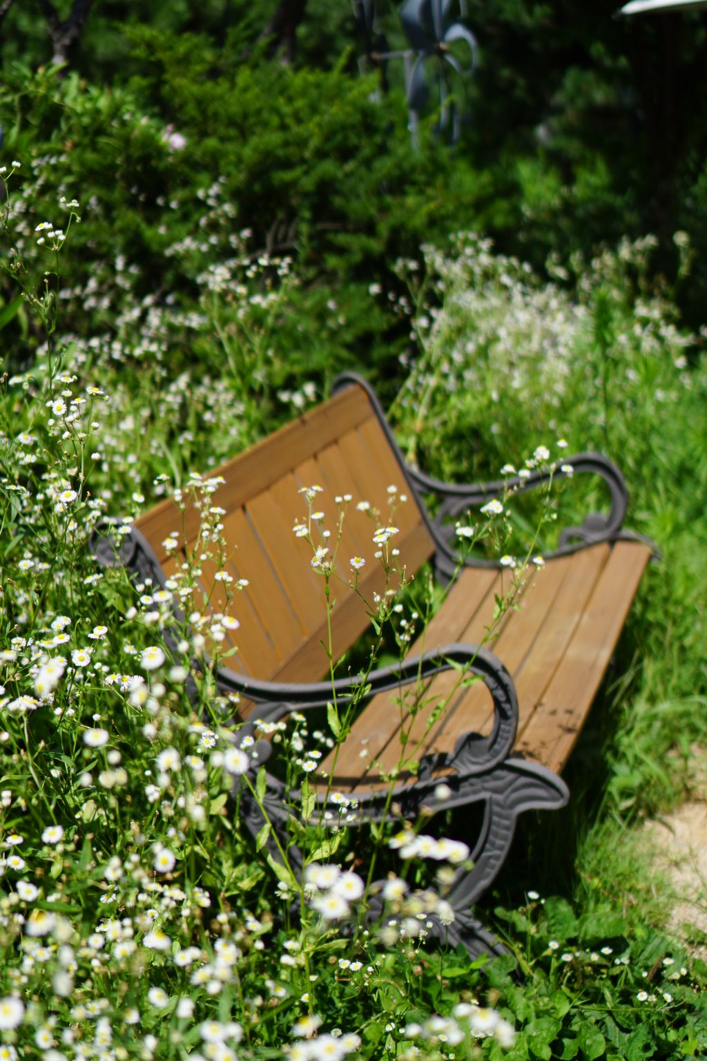 게시글 대표 이미지