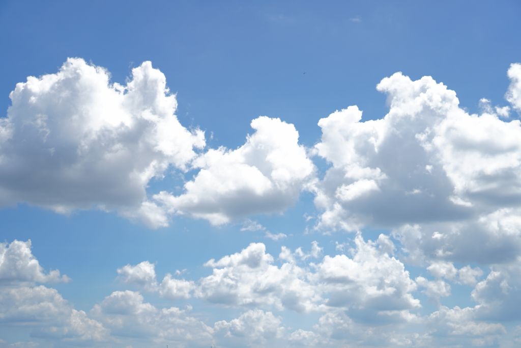 게시글 대표 이미지