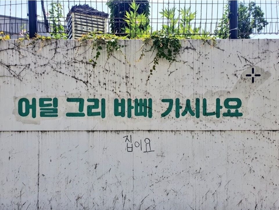 게시글 대표 이미지