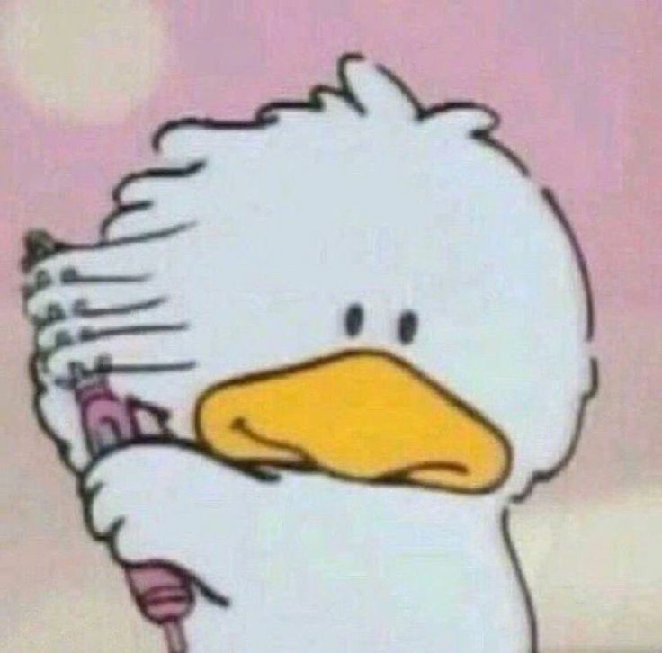 게시글 대표 이미지