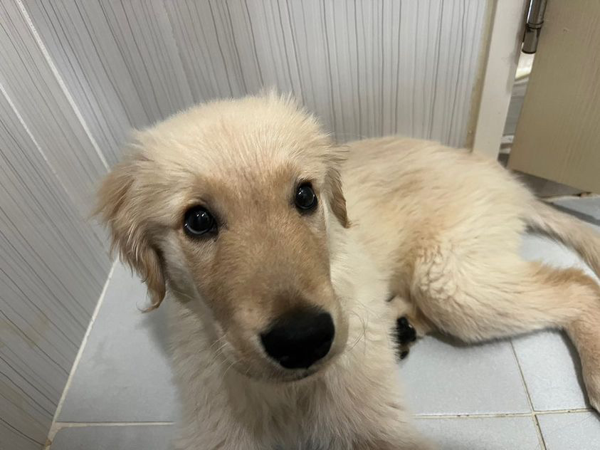 게시글 대표 이미지