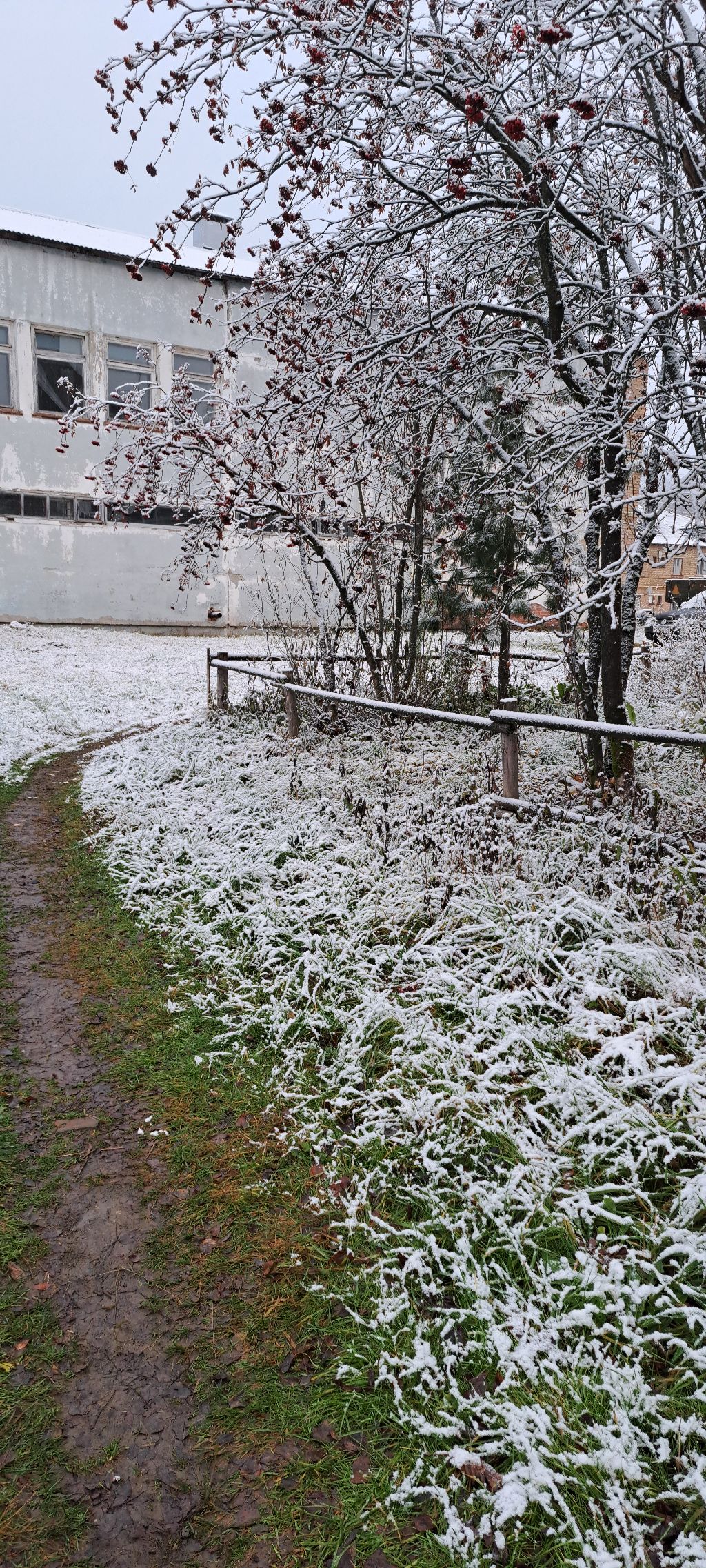 게시글 대표 이미지