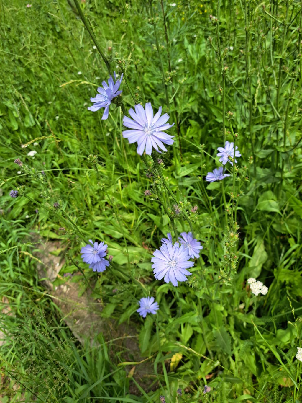 게시글 대표 이미지