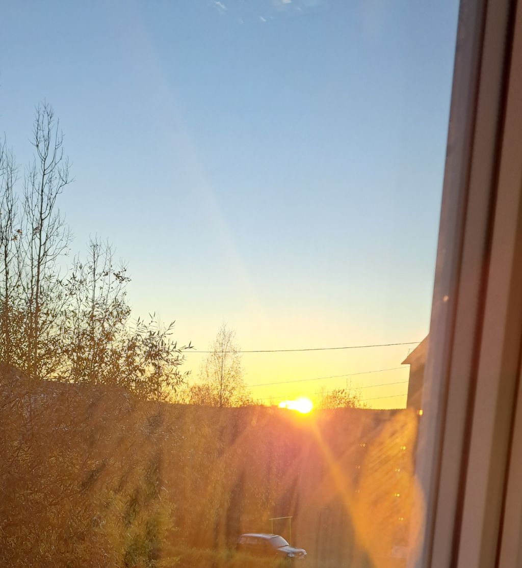 게시글 대표 이미지