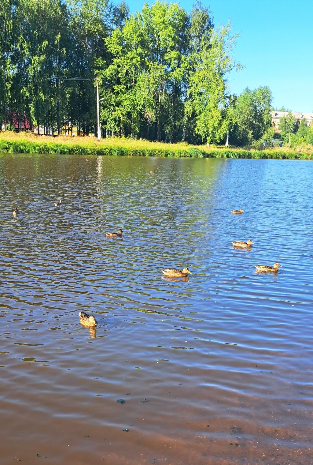 게시글 대표 이미지