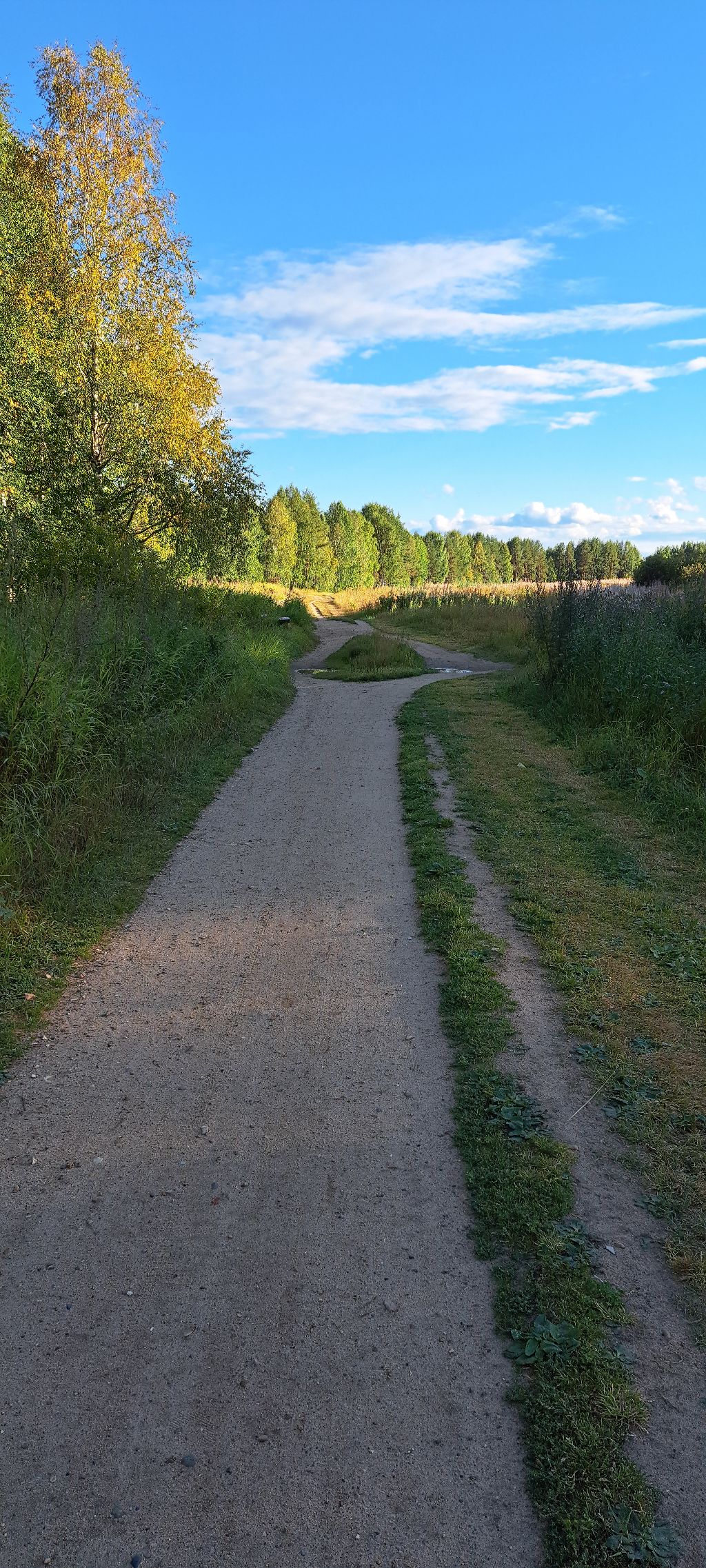 게시글 대표 이미지