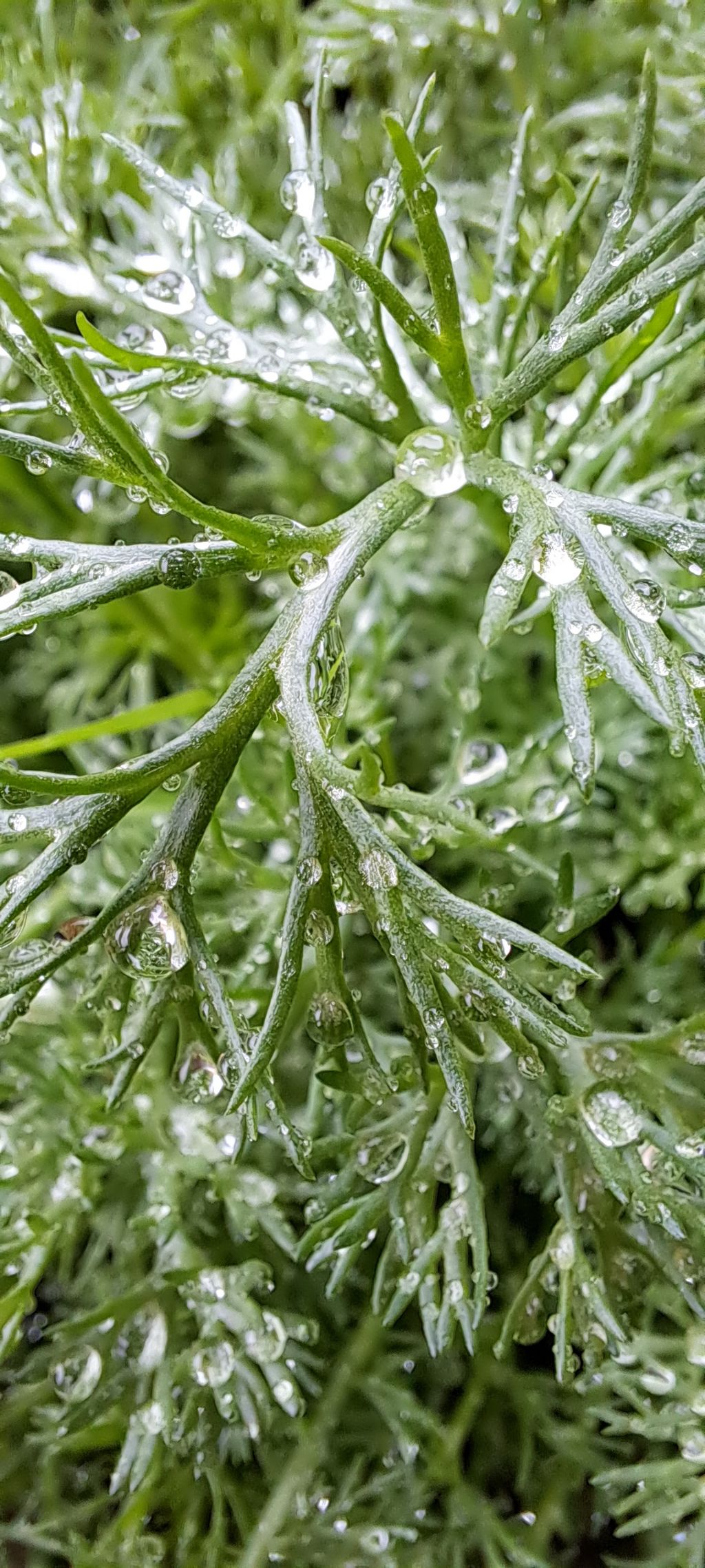 게시글 대표 이미지