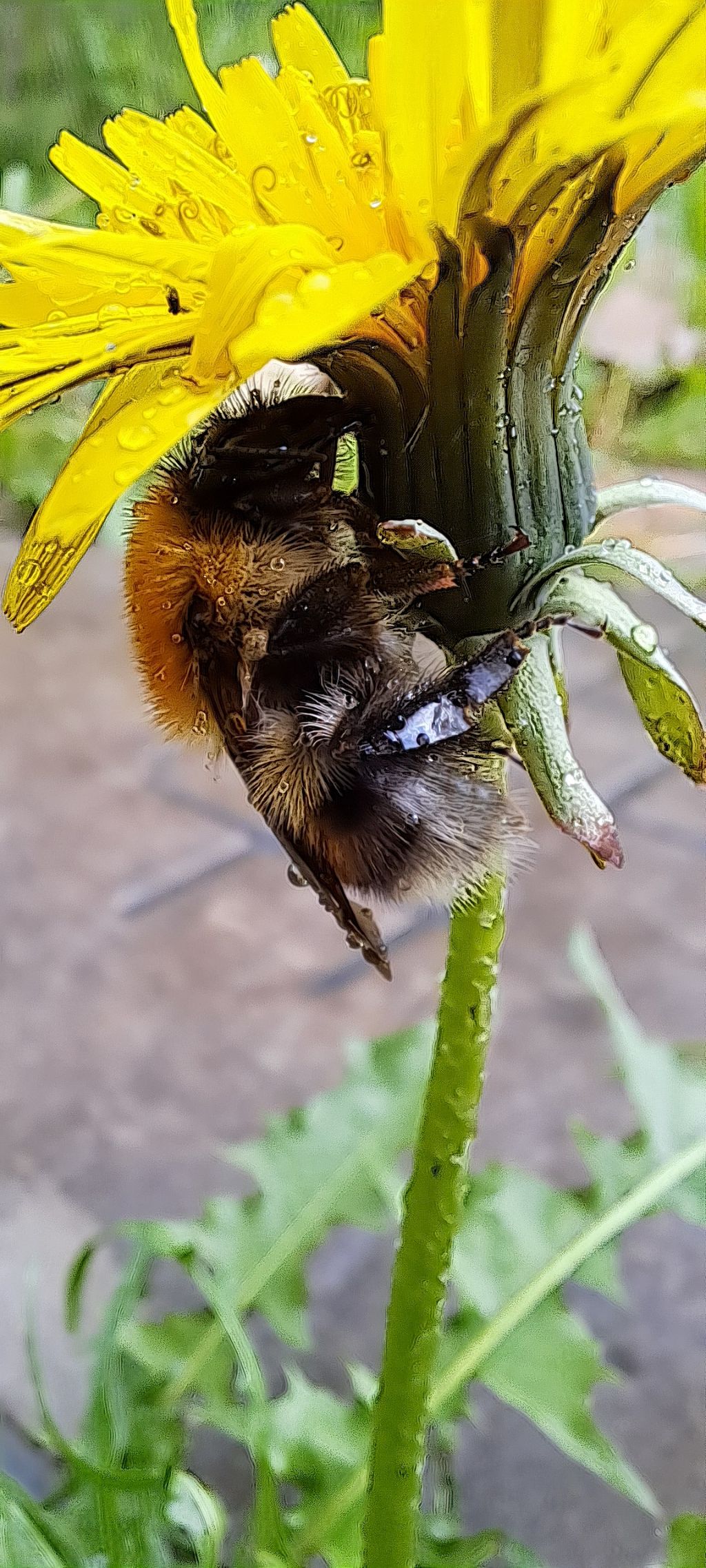 게시글 대표 이미지