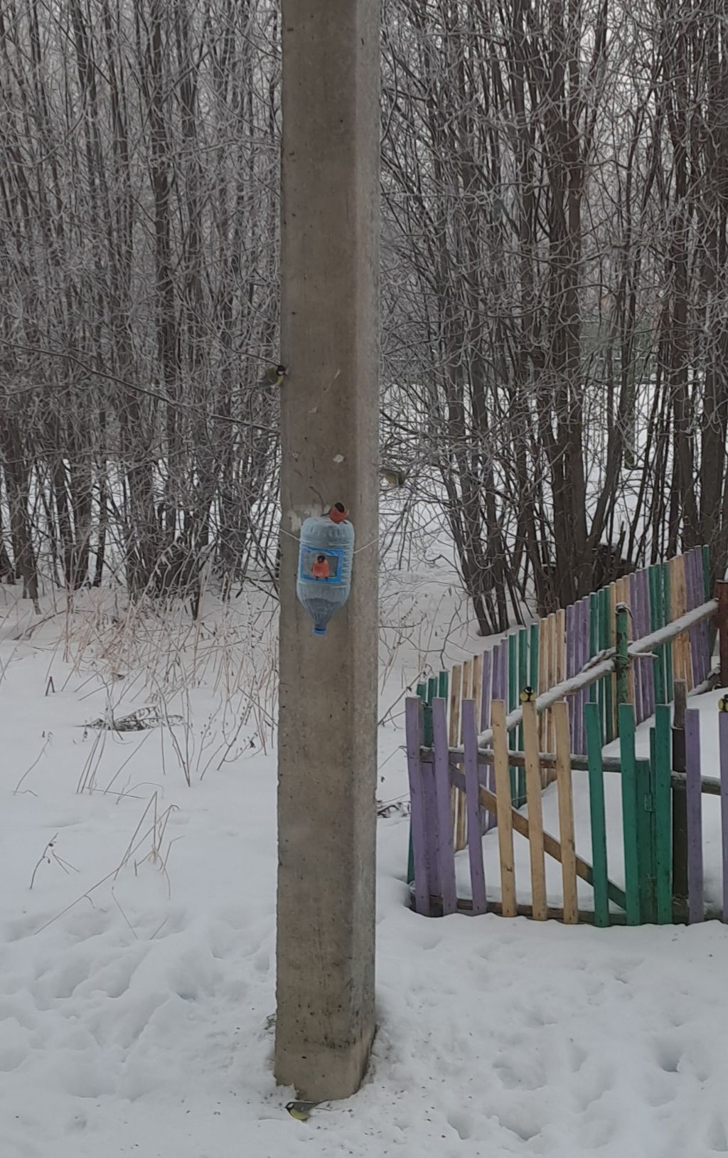 게시글 대표 이미지