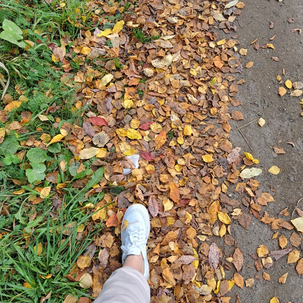 게시글 대표 이미지