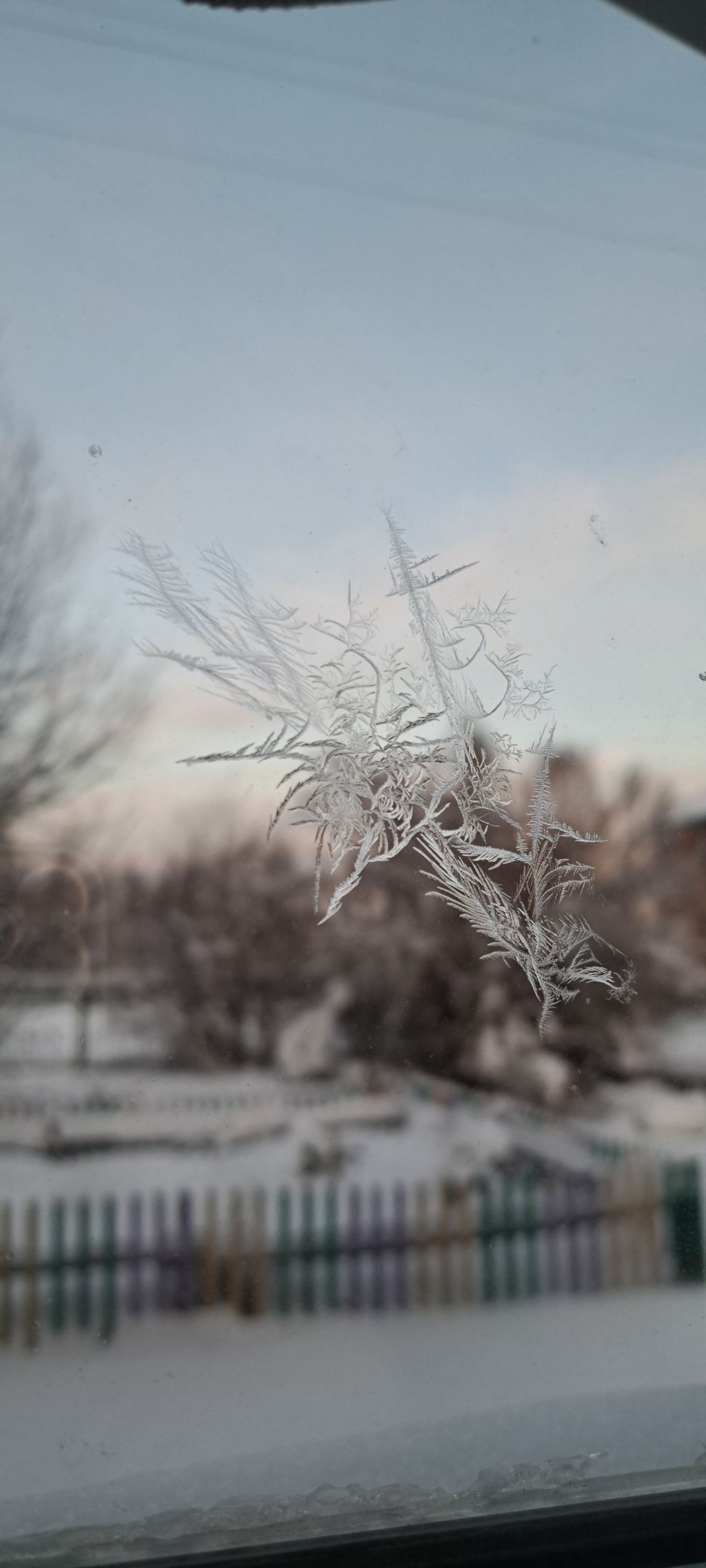 게시글 대표 이미지