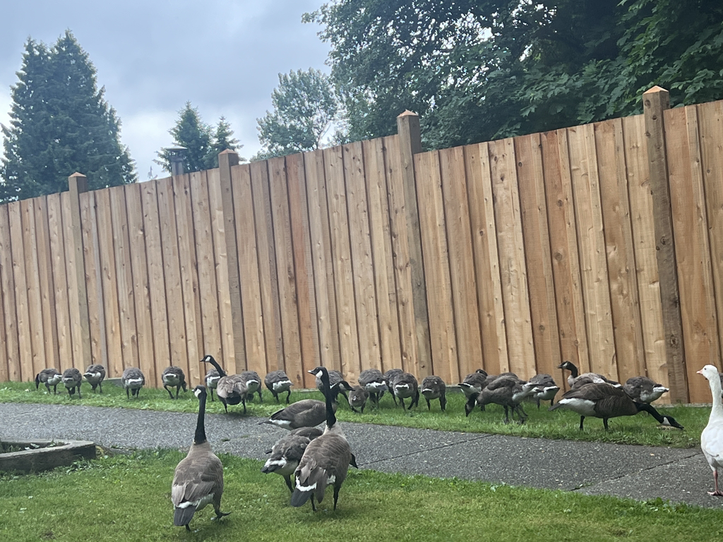 게시글 대표 이미지