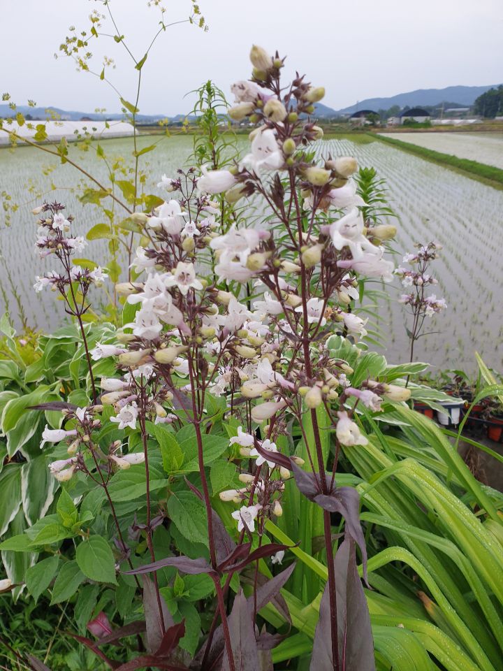 게시글 대표 이미지