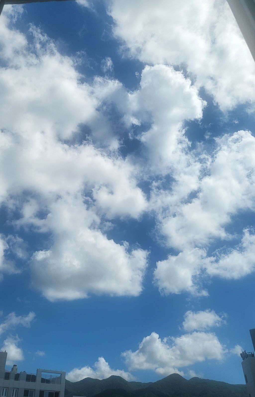 게시글 대표 이미지